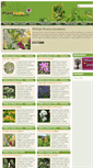Mobile Screenshot of plantpedia.ro